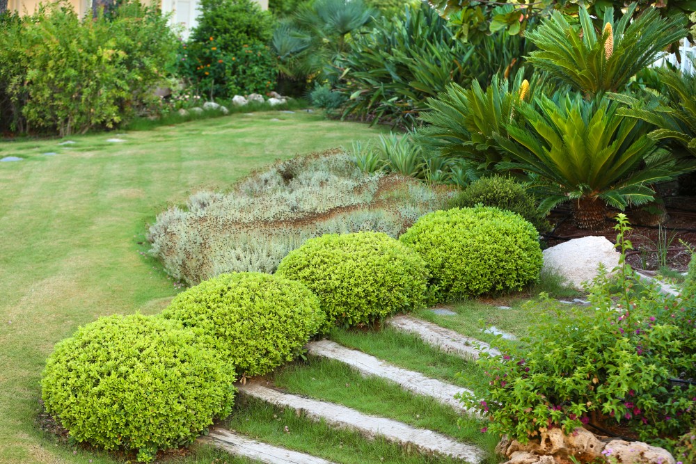 Landscaping Services
